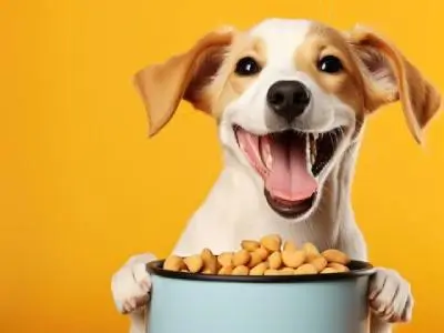 Dog Food