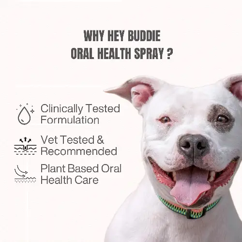 Dog Teeth Cleaning Spray | Fresh Breath & Natural Care