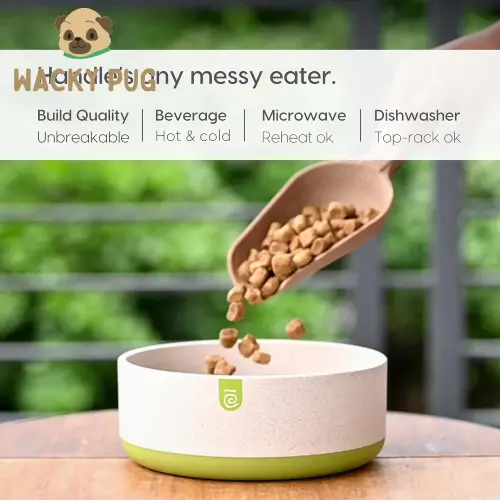 EcoBlend Pet Bowl - 700ml, Anti-Skid, Sustainable | Behala
