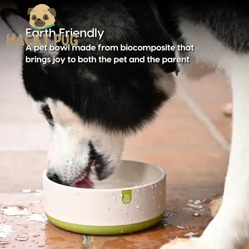 EcoBlend Pet Bowl - 700ml, Anti-Skid, Sustainable | Behala