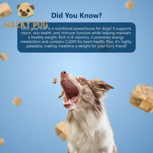 Buy Goat Meat Dog Treats - 100% Natural in Behala Kolkata