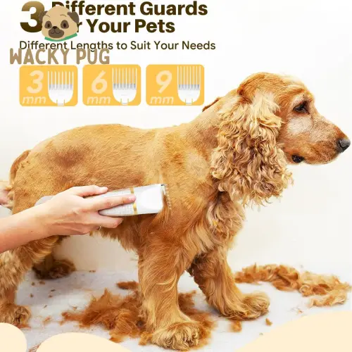 Buy Boltz Pet Grooming Kit in Behala Kolkata 2025