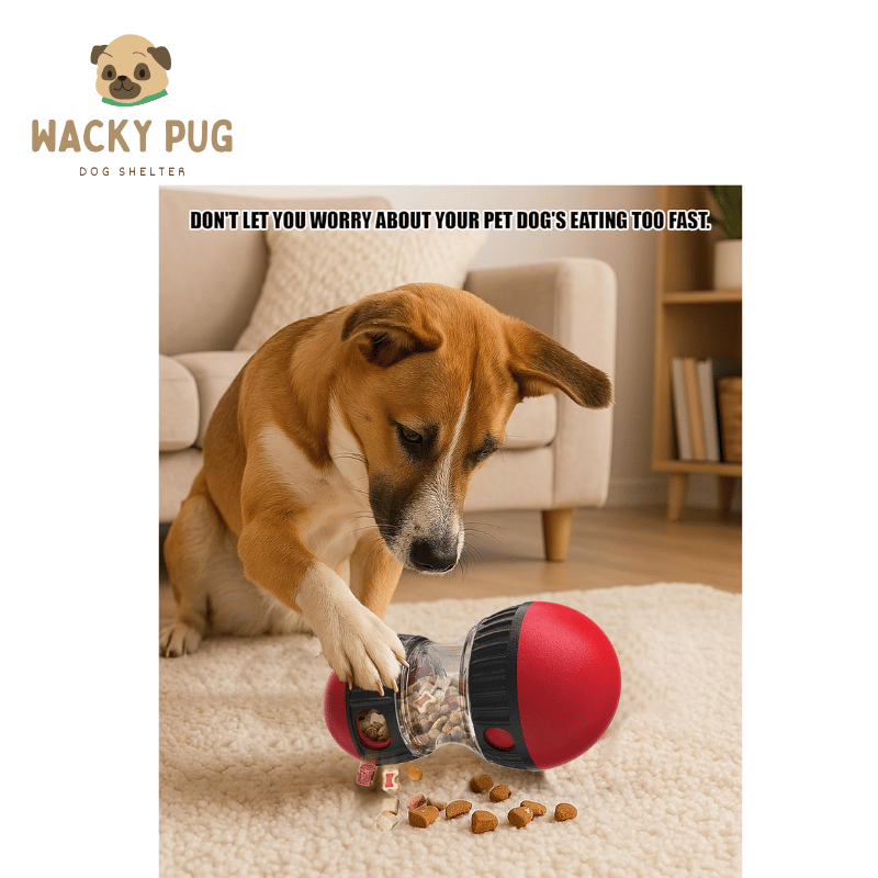 WackyPug Treat Puzzle Toy for Large Dogs India 2025